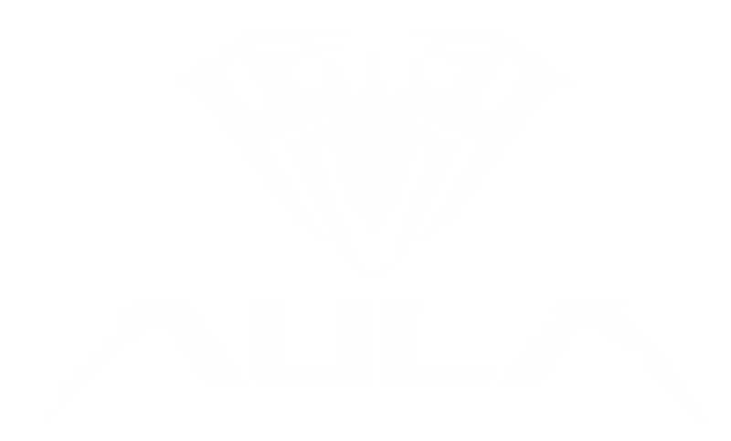 Logo de Aula